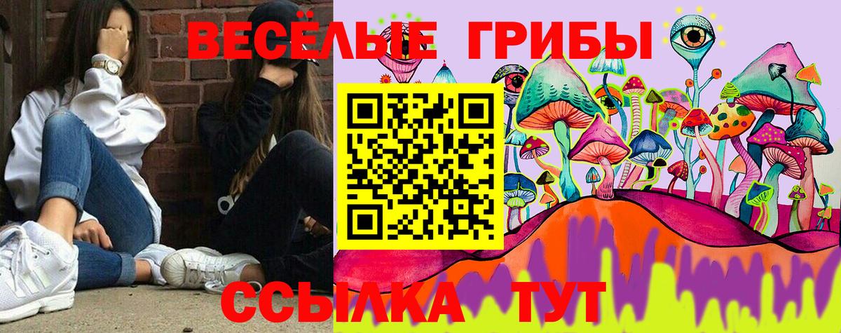 Псилоцибиновые грибы Psilocybine cubensis  Галлюциногенные грибы Psilocybine cubensis  Новоалтайск  Вход с VPN 