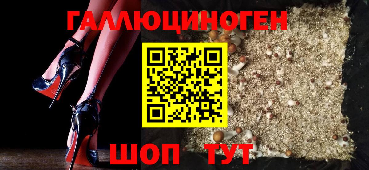 Новоалтайск  Гашиш  ГАШ  Бошки Шишки  Вход с VPN  Меф МЯУ МЯУ   Купить закладку 